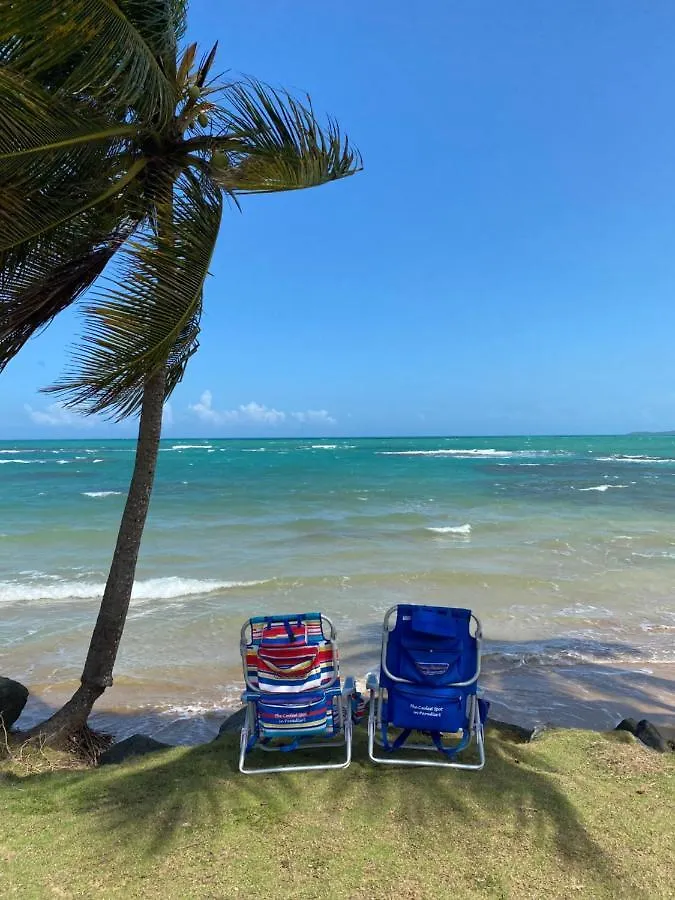 Blue Leaf By The Sea Apartment Luquillo 0*,  Puerto Rico