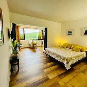 https://studio-hina-cosy-quiet-pool.frenchpolynesia-hotels.com